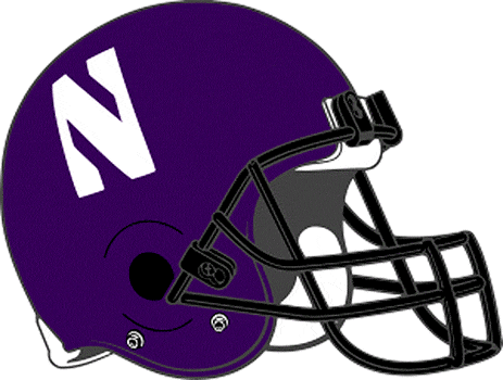 Northwestern Wildcats 1994-Pres Helmet Logo iron on transfers for T-shirts